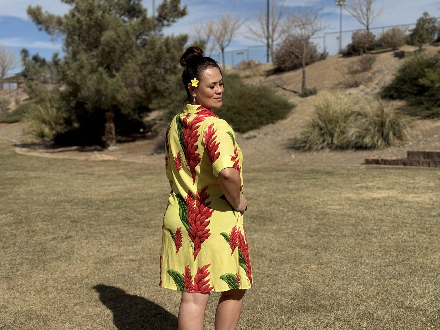 Sina Shirt Dress